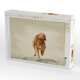 Produktbild: CALVENDO Puzzle Ein Bild aus dem Kalender Magyar Vizsla 2017 / UK-Version | 1000 Teile Lege-Gr&ouml;&szlig;e 64x48cm Foto-Puzzle f&uuml;r gl&uuml;ckliche Stunden