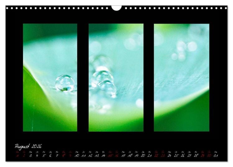 Produktbild: Die Kunst der Natur - Dreifach Stilvoll (Wandkalender 2026 DIN A3 quer), CALVENDO Monatskalender