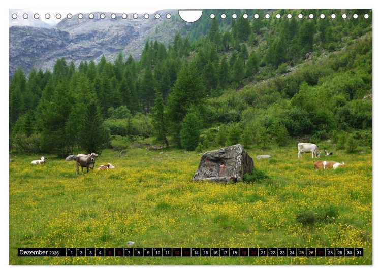 Produktbild: Sulden - S&uuml;dtiroler Bergdorf am Fu&szlig;e des Ortlers (Wandkalender 2026 DIN A4 quer), CALVENDO Monatskalender