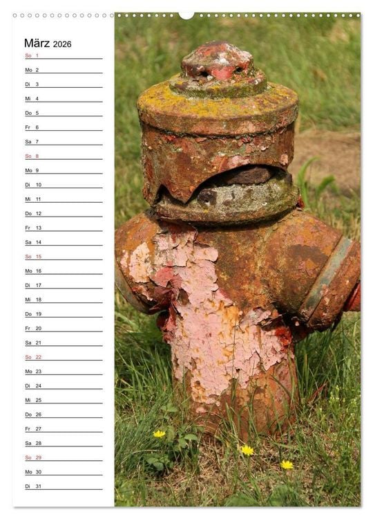 Produktbild: Nostalgie Hydranten (Wandkalender 2026 DIN A2 hoch), CALVENDO Monatskalender