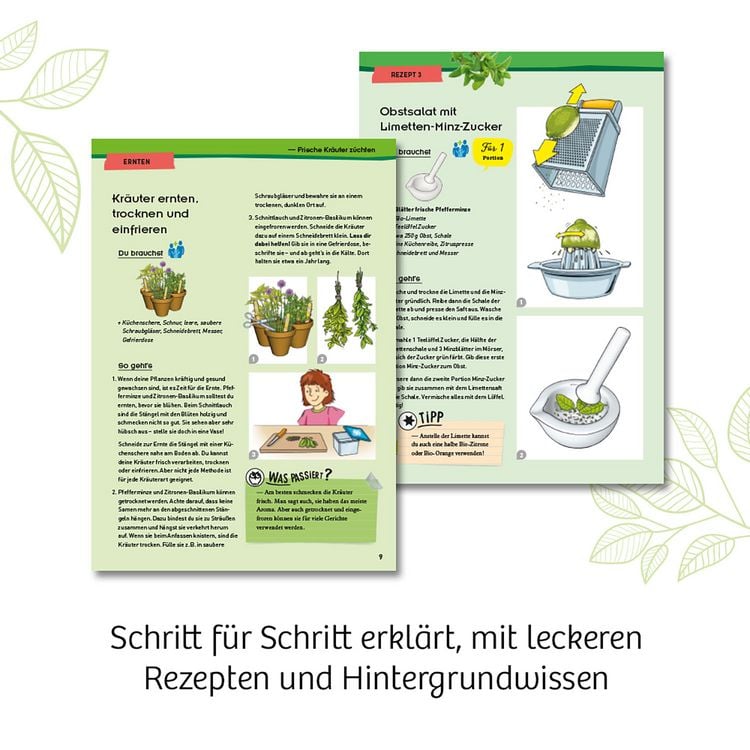 Produktbild: Kr&auml;utergarten