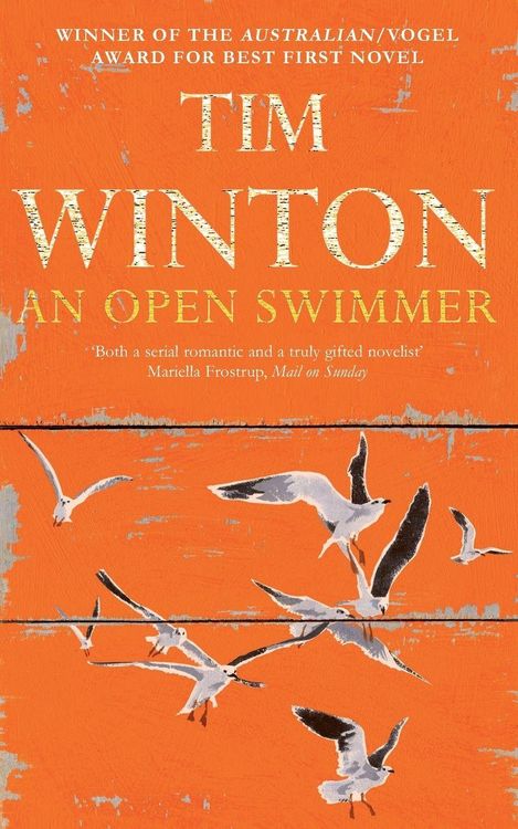 Produktbild: An Open Swimmer