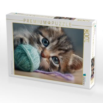 Produktbild: CALVENDO Puzzle Wenn Spielen zur sch&ouml;nsten Sprache wird. | 1000 Teile Lege-Gr&ouml;&szlig;e 64x48cm Foto-Puzzle f&uuml;r gl&uuml;ckliche Stunden