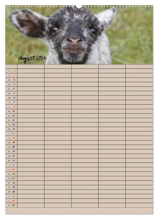 Produktbild: Der bel&auml;mmerte Familienplaner (hochwertiger Premium Wandkalender 2026 DIN A2 hoch), Kunstdruck in Hochglanz