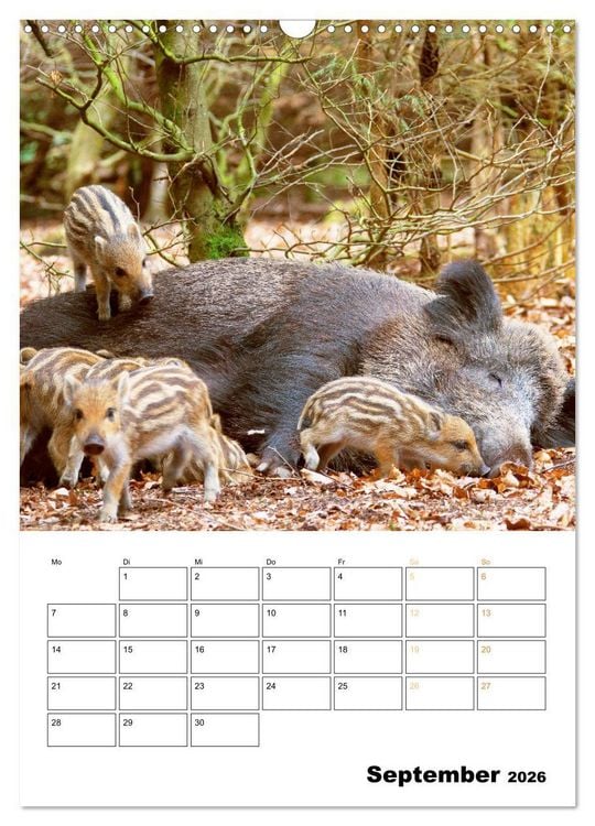 Produktbild: Wilde Tiere: Zuhause in Wald und Flur (Wandkalender 2026 DIN A3 hoch), CALVENDO Monatskalender