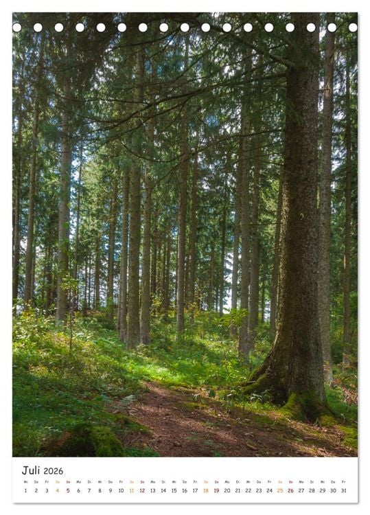 Produktbild: B&auml;ume im Harz (Tischkalender 2026 DIN A5 hoch), CALVENDO Monatskalender