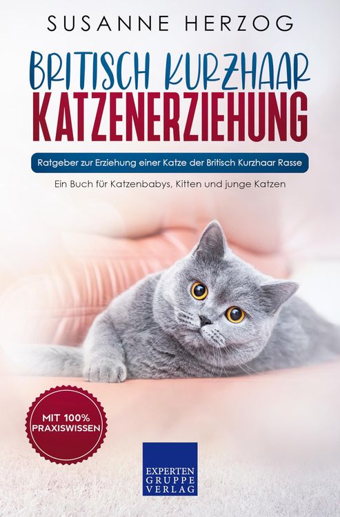 Produktbild: Britisch Kurzhaar Katzenerziehung - Ratgeber zur Erziehung einer Katze der Britisch Kurzhaar Rasse