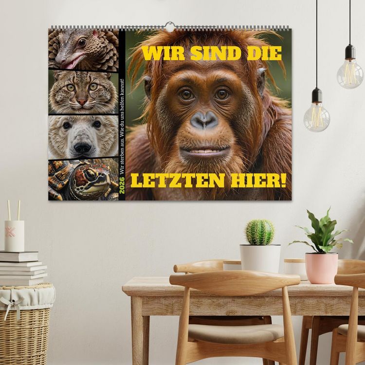 Produktbild: Wir sind die Letzten hier! Wir sterben aus. Wie du uns helfen kannst! (Wandkalender 2026 DIN A2 quer), CALVENDO Monatskalender