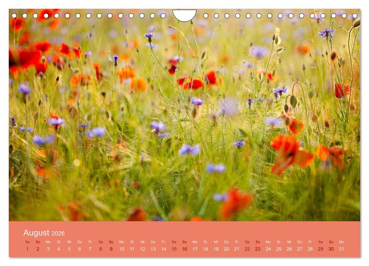 Produktbild: Farbwechsel - Die Farben der vier Jahreszeiten (Wandkalender 2026 DIN A4 quer), CALVENDO Monatskalender