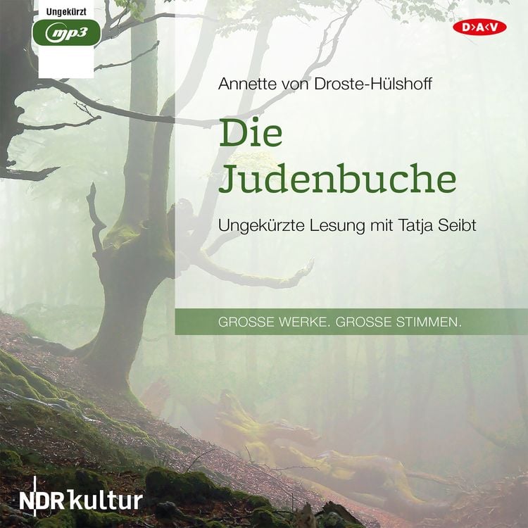 Bild vom Artikel Die Judenbuche vom Autor Annette von Droste-Hülshoff