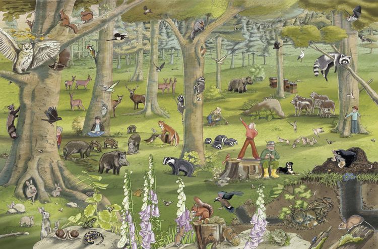 Produktbild: Tiere von nebenan
