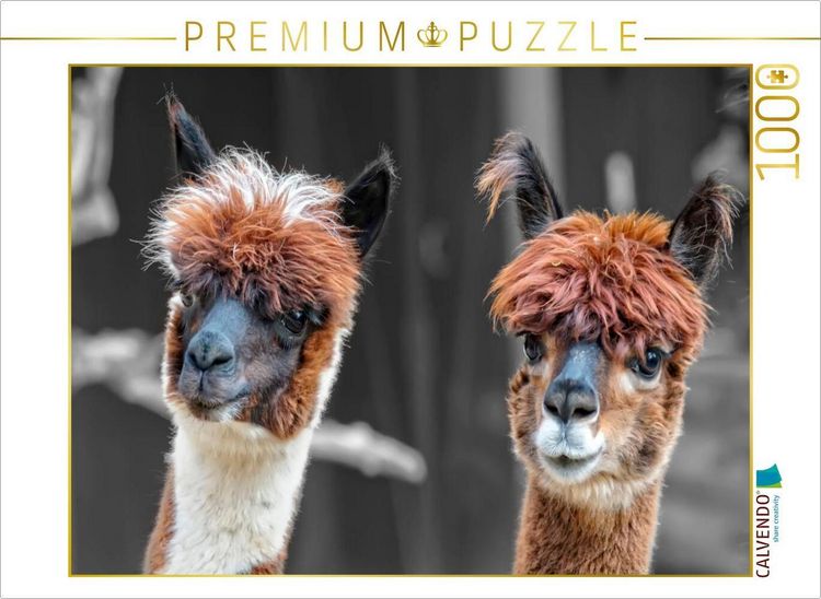 Produktbild: CALVENDO Puzzle Ein Motiv aus dem Kalender Alpaka Gesichter | 1000 Teile Lege-Gr&ouml;&szlig;e 64x48cm Foto-Puzzle f&uuml;r gl&uuml;ckliche Stunden
