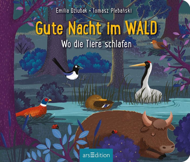 Produktbild: Gute Nacht im Wald