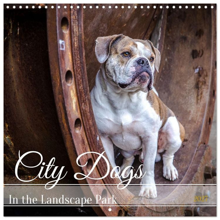 Produktbild: City dogs in the landscape park (Wall Calendar 2027 12 &times; 12 Inch) CALVENDO 12 Month Wall Calendar