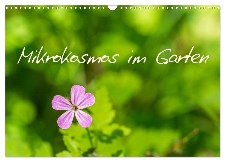 Produktbild: Mikrokosmos im Garten (Wandkalender 2026 DIN A3 quer), CALVENDO Monatskalender
