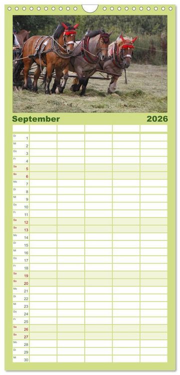 Produktbild: Familienplaner 2026 - Starke Pferde bei der Arbeit mit 5 Spalten (Wandkalender, 21 x 45 cm) CALVENDO