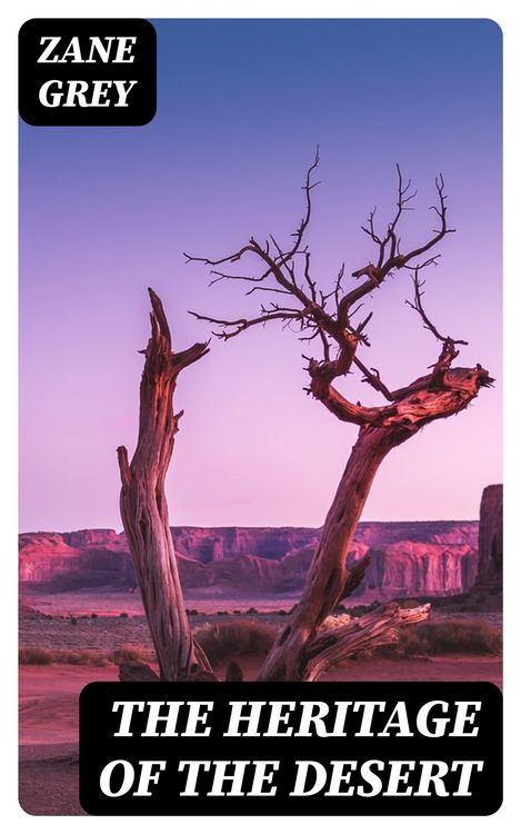 Produktbild: The Heritage of the Desert
