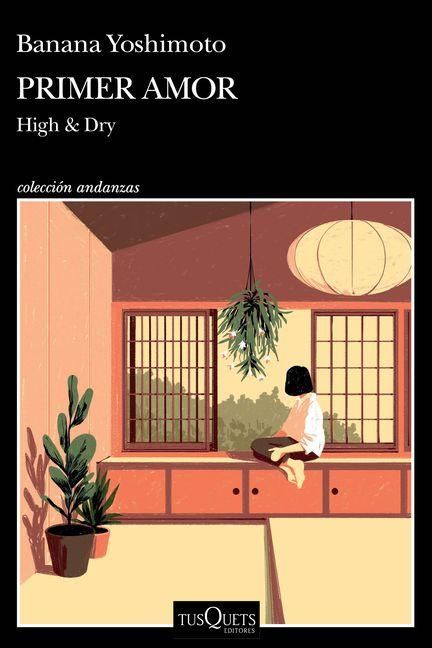 Produktbild: Primer Amor (Novela) / High and Dry (a Novel)
