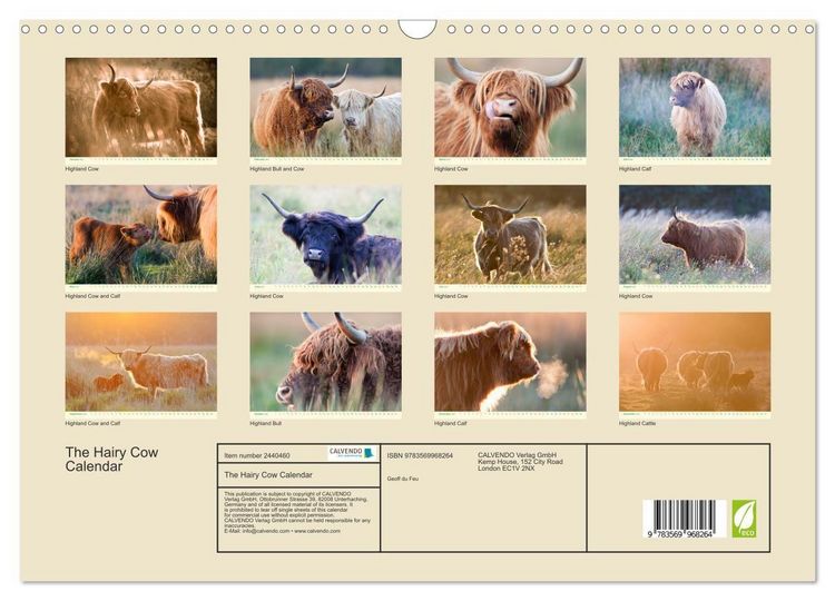 Produktbild: The Hairy Cow Calendar (Wall Calendar 2027 DIN A3 landscape), CALVENDO 12 Month Wall Calendar