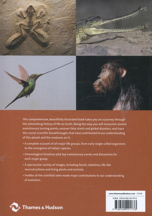 Produktbild: Evolution: The Whole Story