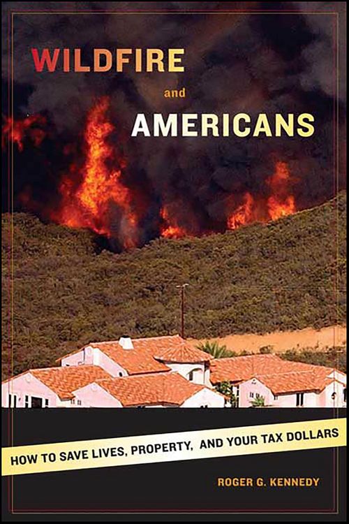 Produktbild: Wildfire and Americans