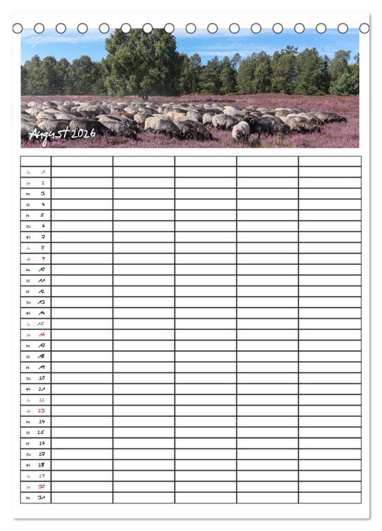 Produktbild: L&uuml;neburger Heide - Faszinierend sch&ouml;n (Tischkalender 2026 DIN A5 hoch), CALVENDO Monatskalender