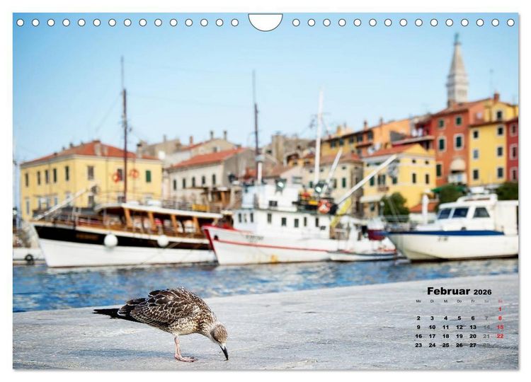 Produktbild: Wie ein Vogel in Rovinj! (Wandkalender 2026 DIN A4 quer), CALVENDO Monatskalender