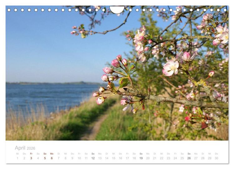 Produktbild: Zauberhafte Schlei (Wandkalender 2026 DIN A4 quer), CALVENDO Monatskalender