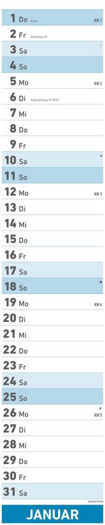 Superplaner 2026 - Streifenkalender 17x85 cm - mit Ringbindung - viel Platz für Notizen - Langplaner - Wandkalender - Küchenkalender - Alpha Edition