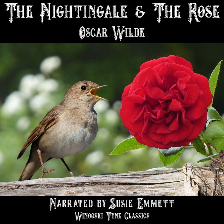Produktbild: The Nightingale & the Rose