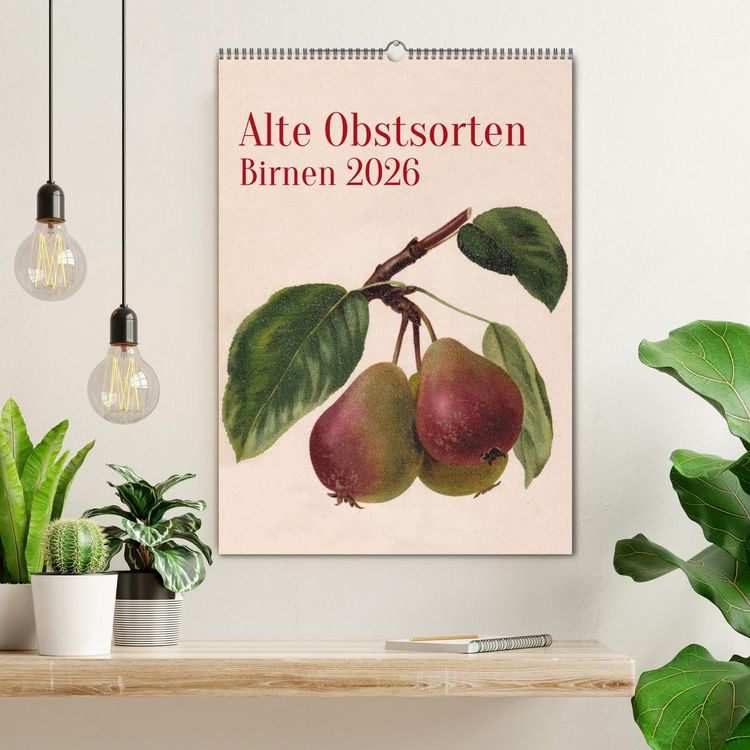 Produktbild: Alte Obstsorten - Birnen 2026 (Wandkalender 2026 DIN A2 hoch), CALVENDO Monatskalender