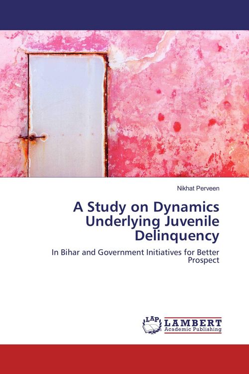 Produktbild: A Study on Dynamics Underlying Juvenile Delinquency