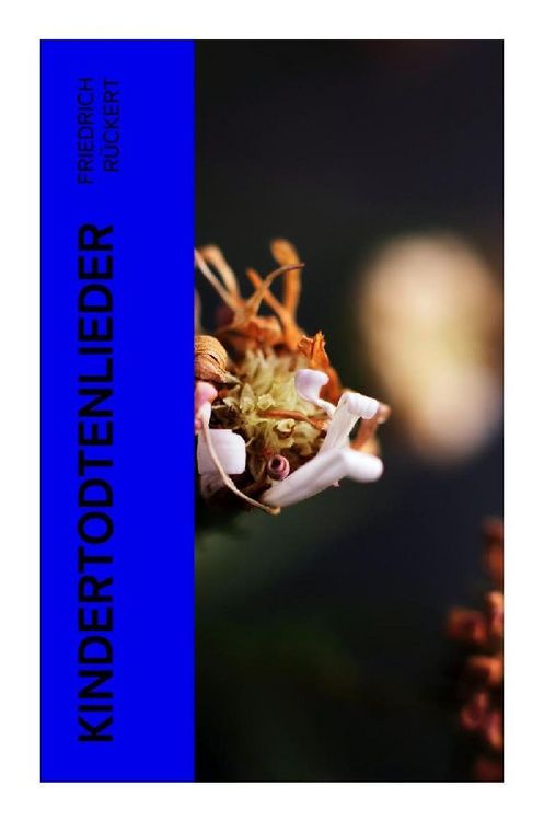 Produktbild: Kindertodtenlieder