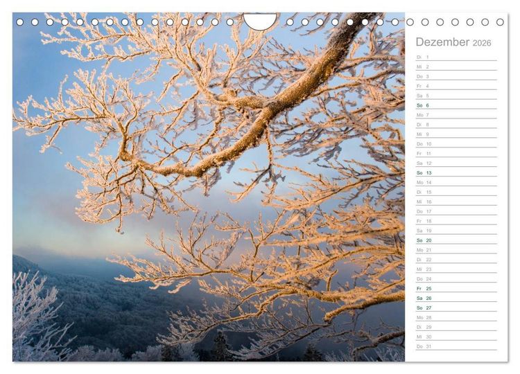 Produktbild: Im Deutschen Wald 2026 - ein Notizkalender (Wandkalender 2026 DIN A4 quer), CALVENDO Monatskalender