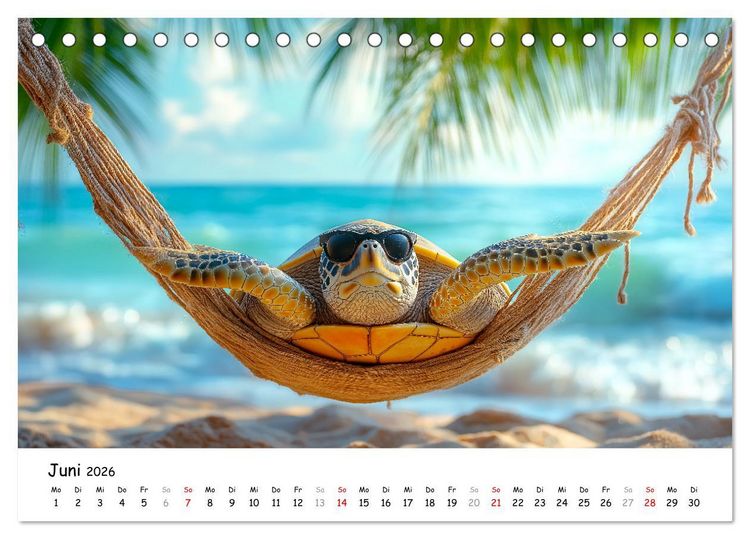 Produktbild: CHILL MAL - Entspannte Schildkr&ouml;ten beim Faulenzen (Tischkalender 2026 DIN A5 quer), CALVENDO Monatskalender