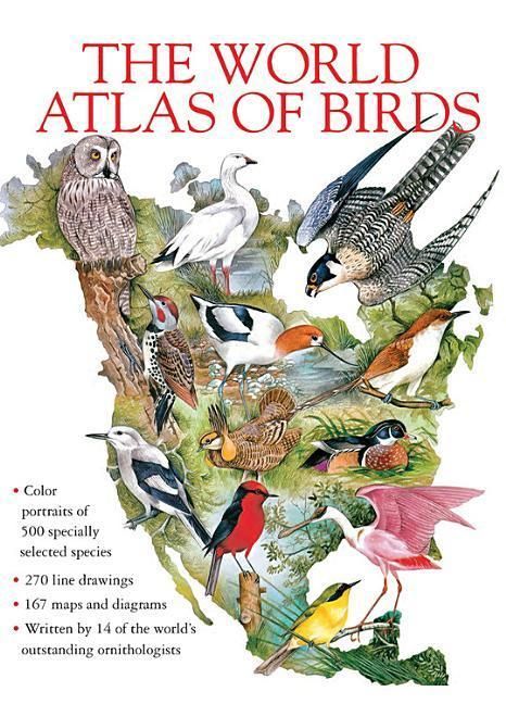 Produktbild: World Atlas Of Birds
