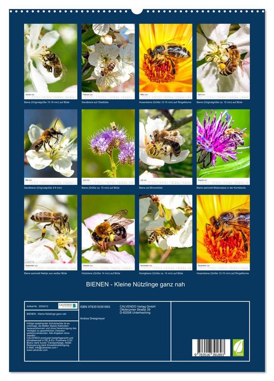 Produktbild: BIENEN - Kleine N&uuml;tzlinge ganz nah (hochwertiger Premium Wandkalender 2026 DIN A2 hoch), Kunstdruck in Hochglanz