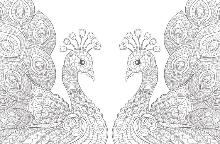 Produktbild: Colorful Mandala &ndash; Tierisch verliebt