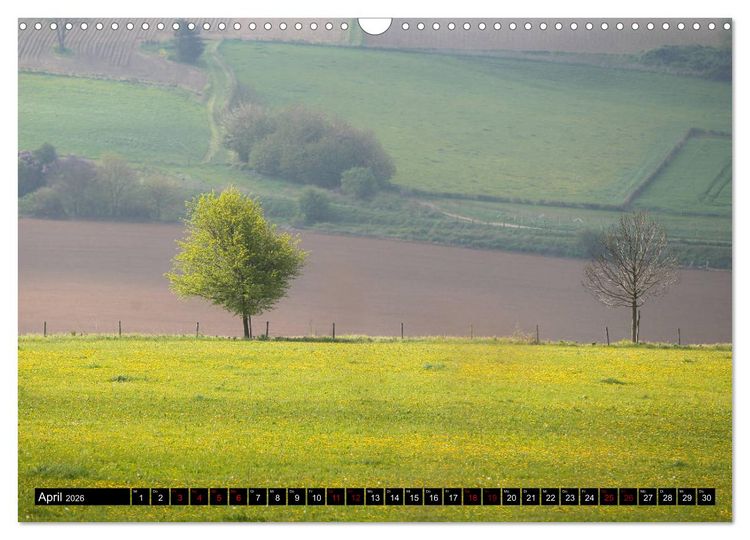 Produktbild: Die westliche Eifel (Wandkalender 2026 DIN A3 quer), CALVENDO Monatskalender