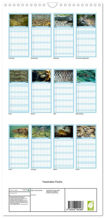 Produktbild: Familienplaner 2026 - Faszination Fische mit 5 Spalten (Wandkalender, 21 x 45 cm) CALVENDO