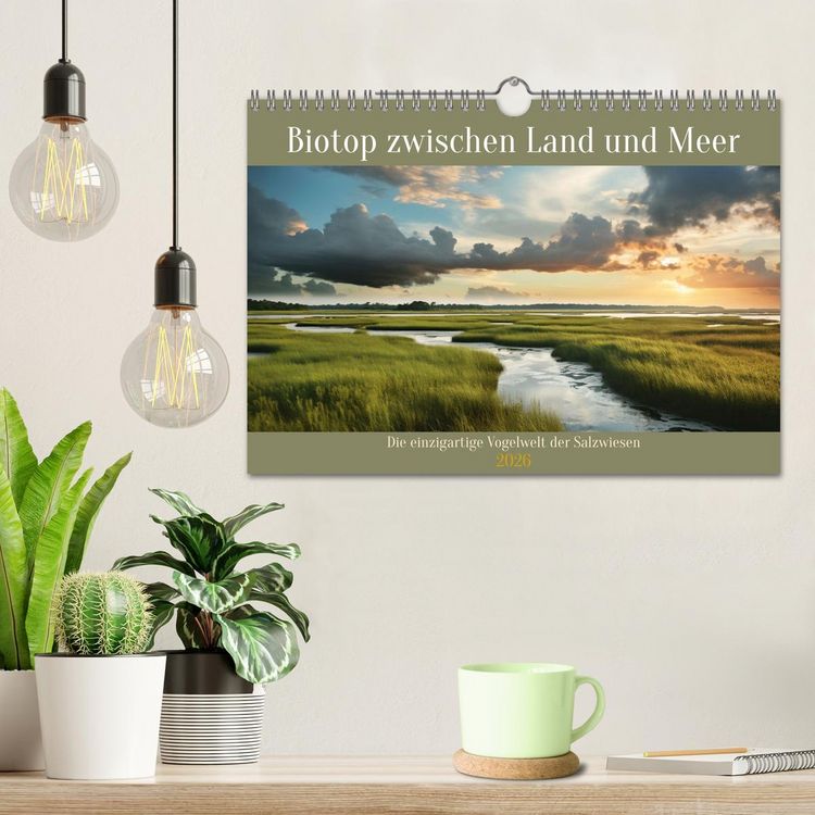 Produktbild: Biotop zwischen Land und Meer (Wandkalender 2026 DIN A4 quer), CALVENDO Monatskalender