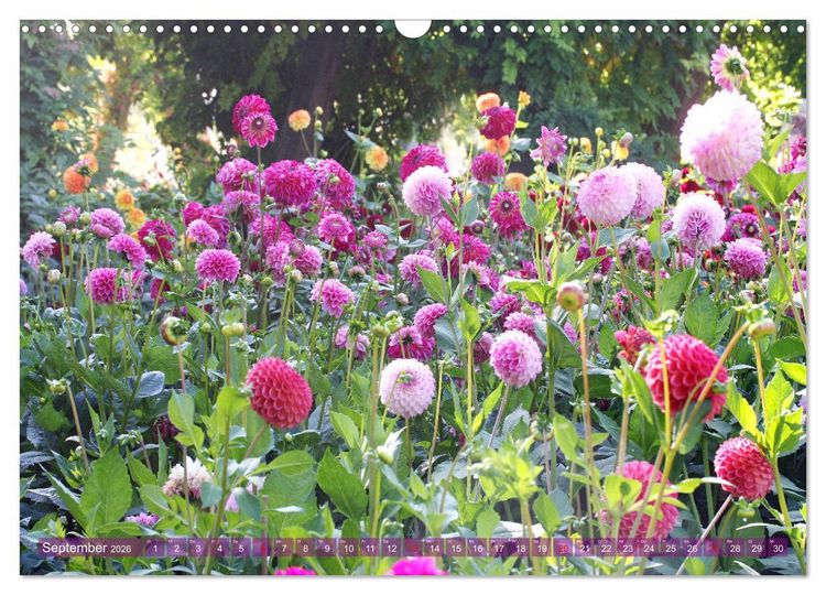 Produktbild: Beschwingte Blumenwelt (Wandkalender 2026 DIN A3 quer), CALVENDO Monatskalender