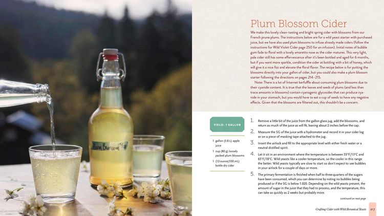 Produktbild: The Big Book of Cidermaking