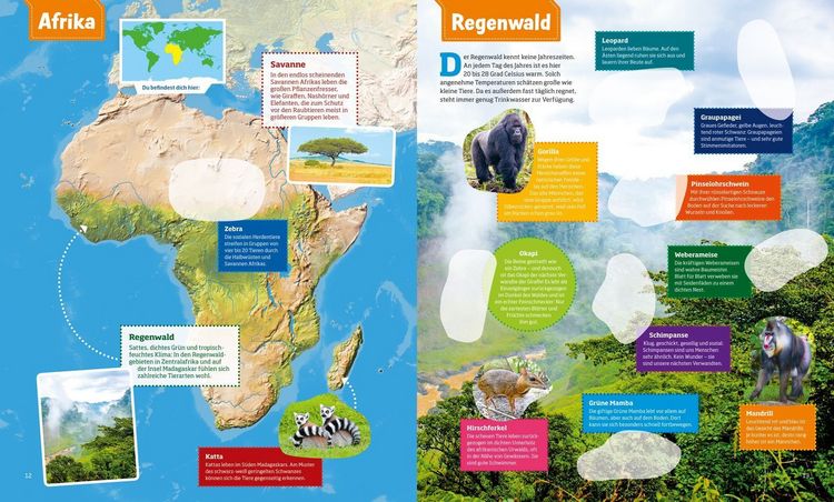 Produktbild: WAS IST WAS Sticker-Atlas Tiere