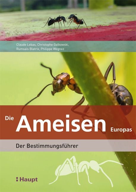 Produktbild: Die Ameisen Europas