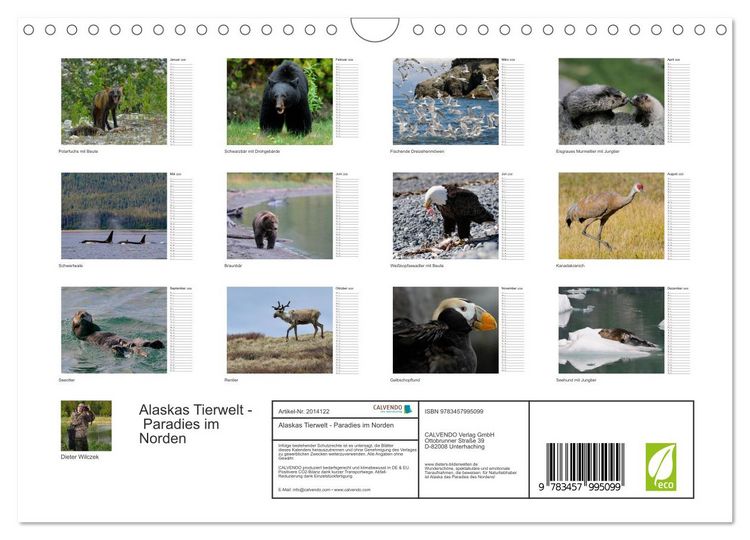 Produktbild: Alaskas Tierwelt - Paradies im Norden (Wandkalender 2026 DIN A4 quer), CALVENDO Monatskalender