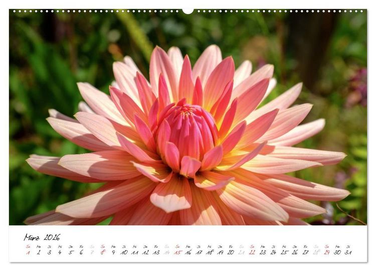 Produktbild: Madeira - ewiger Fr&uuml;hling (hochwertiger Premium Wandkalender 2026 DIN A2 quer), Kunstdruck in Hochglanz