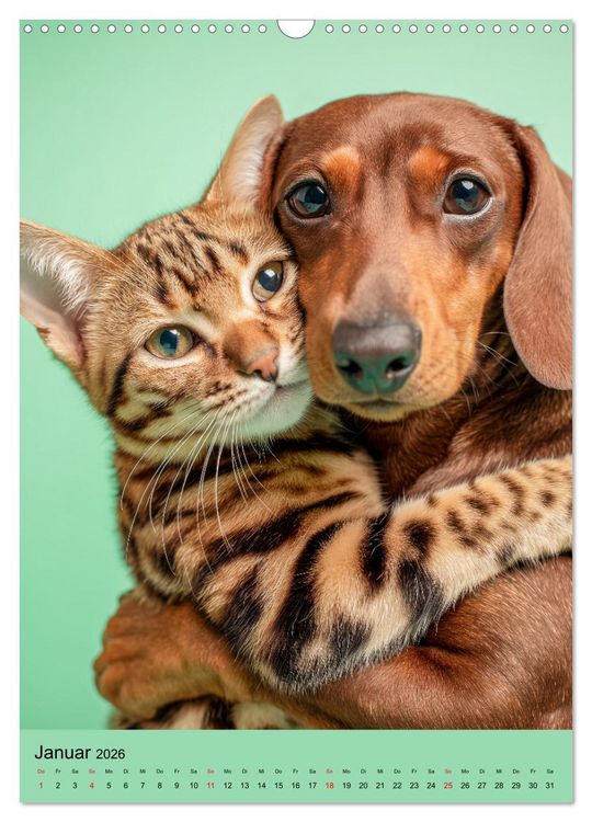 Produktbild: Freundschaftskalender - Katzen und Hunde, beste Freunde in Umarmung (Wandkalender 2026 DIN A3 hoch), CALVENDO Monatskalender