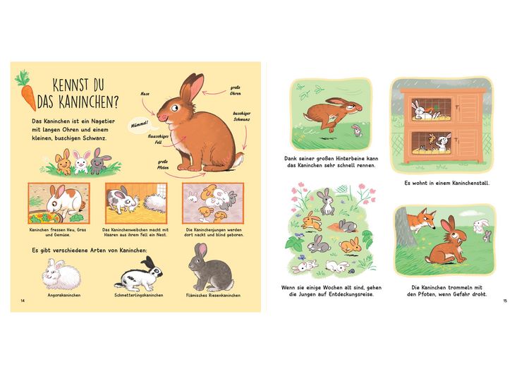 Produktbild: Kennst du die Tierkinder? - Sachbilderbuch f&uuml;r Kinder ab 3 Jahren