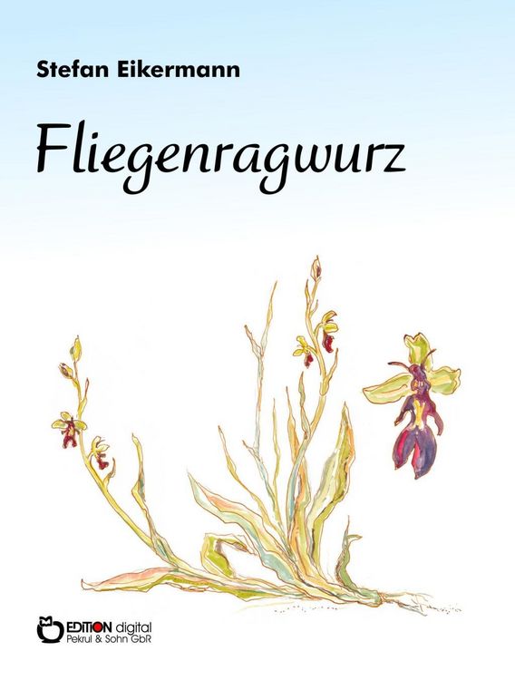 Produktbild: Fliegenragwurz